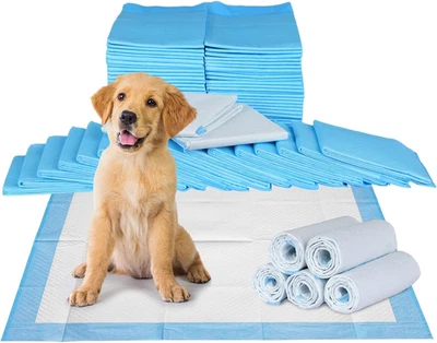 200Pcs Pet Training Pads, Disposable Puppy Dog Pee Pads Leak-Proof and Super Abs