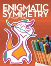 Enigmatic Symmetry by N. Word Paperback Book