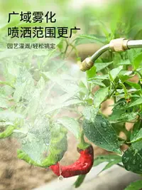 在飛比找樂天市場購物網優惠-德力西充電式電動噴霧槍澆花神器打藥噴槍電動噴霧器家用小型噴壺