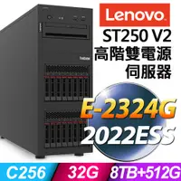在飛比找PChome24h購物優惠-(商用)Lenovo ST250 V2 (E-2324G/3