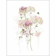 Summer Thornton Wild Meadow POSTER 40x50cm NEW flower art print