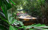 在飛比找KLOOK 客路優惠-庫蘭達熱帶雨林公園之旅（凱恩斯出發）