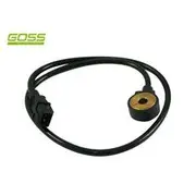 RAE Knock Sensor - K1601