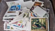 Hungary Off Paper Stamp Mix in Small Takeaway Container