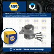 Wheel Bearing Kit fits CITROEN DISPATCH VF7 1.6D Rear 07 to 16 NAPA 374895 New