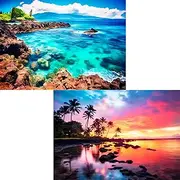 Edsjegn 2 Pack 1000 Piece Puzzles for Adults 2000 Piece Puzzles for Adults Beach Coconut Tree Reef Landscape Jigsaw Puzzles
