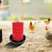 Chicken Waterer Multi Function feed Container Chick Feeder for Outdoor Coops