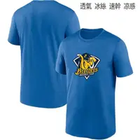 在飛比找蝦皮購物優惠-〔緯來體育〕棒球聯賽 兄弟 冰絲棉 象 隊 短袖T恤