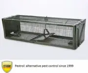 Mouse Trap Double Ended- Sydney Seller - New to Market for Mice!