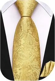 Dubulle Tie for Boys Self Tie Silk Kids Necktie and Pocket Square Set for Age 8-14