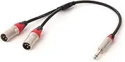 ROBAUN 1PC 6.35MM to Dual XLR Y-Splitter Cable 1/4 Inch TS Jack to 2 XLR Male/Female OFC Shielded Cable for Guitar Amplifier(Z01-D1001MX2-SLRD,0.29m)