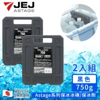 在飛比找momo購物網優惠-【JEJ】日本製Astage系列保冰冰磚/保冰劑750g(2