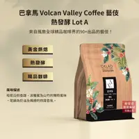 在飛比找蝦皮商城優惠-【歐客佬】巴拿馬 Volcan Valley 藝伎 熱發酵 