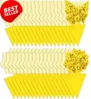12 Pack Sticky Fruit Fly Fungus Gnat Traps Killer for Indoor and Outdoor Protect
