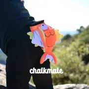 Magikarp Chalk Bag