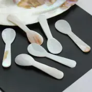 Small Conch Shell Teaspoon Multi-function Dessert Ice Cream Coffee Spoon Cutlery