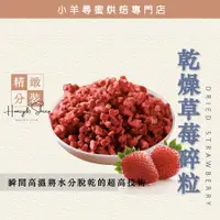 在飛比找蝦皮購物優惠-【台灣現貨 免運】德麥 乾燥草莓碎粒 覆盆子碎粒 鋁箔袋分裝