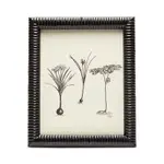Pigeon & Poodle Metz Lacquered Resin Frame, 8 x 10