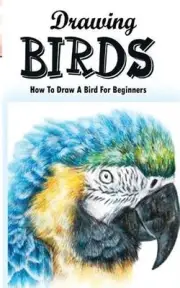 Drawing Birds: How To Draw A Bird For Beginners: How To Draw Birds Step By Step