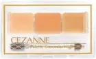 CEZANNE Palette Concealer High Cover Japan