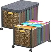 Modanais File Organizer Box, Large File Box for Hanging Letter/Legal Size File, File Folder Storage Box with Wheels, Decorative File Box for Office/Decor/Home, Metal (2 Pack)