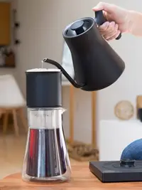 在飛比找Yahoo!奇摩拍賣優惠-【熱賣精選】Fellow手沖咖啡壺智能溫控手沖咖啡套裝不銹鋼