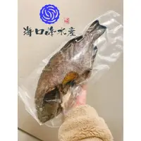 在飛比找蝦皮購物優惠-【澎湖直送🔥】藍(黃)瓜石斑