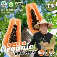 在飛比找momo購物網優惠-南投埔里紅肉木瓜6公斤x1箱（6-8顆/箱）(有機栽培 產地