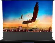 Screen 72-120 Inch Motorized Electric Tab Tension Floor Rising Anti-Light Projector Screen for UST Laser 4k Projector Projection Screens(110 inch)