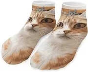 [QMNVBDS] Funny Pet Cat Socks Ankle Length Socks Casual Short Socks for Women Men Low Cut Sports Socks Running Socks No Show Socks Ankle Socks Athletic Socks Workout Socks, Style, One Size, Style, One