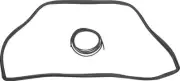 1967-1969 Plymouth Barracuda; Rear Window Weatherstrip; Coupe (Notchback)