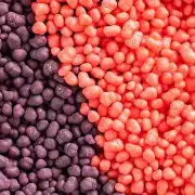 Strawberry Grape Tiny Candy 3 LB Bulk Vending Hard Candies FREE SHIP 48 STATES