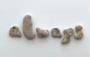 Naturally Letter Shaped ALWAYS Rocks Surf Beach Pebble Word Stone craft art hag