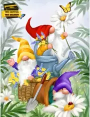 Paint by Number for Adults, DIY Gnomes Adult Paint by Numbers Kits on Canvas Fl