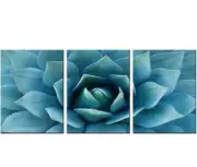 3 Piece Wall Art Canvas- Blue Agave Picture
