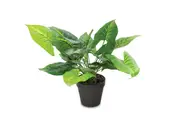CALLA Artificial Plant