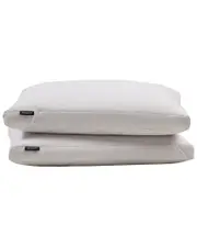 Beautyrest Set of 2 Medium Firm Feather & Down Pillows