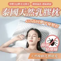 在飛比找momo購物網優惠-【桑桑選品】買1送1 厚款60x45x12cm泰國乳膠枕 天