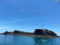 在飛比找雄獅旅遊優惠-澎湖旅遊│東海跳島．百年古蹟．海洋牧場．國際五星飯店三日｜台