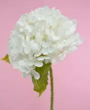 6 Pcs Artificial Cream Color RT Hydrangea Stem 51cm Home/Office Party Decor