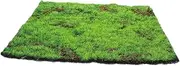 Mipcase Simulated Moss Lawn Outdoor Rugs Pet Turf Indoor Realistic Grass Rug Artificial Grass Rug Fake Grass Carpet Moss Table Runner Artificial Moss Mat Turf Plants Plastic Green