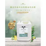 (康朵）茶樹尤加利精油洗衣精 4000G (超大容量）#店到店只能寄一瓶