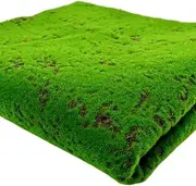 [Xiao Hua] Simulation Artificial Moss Grass Turf Mat No Maintenance Wall Green Plants Home Lawn Fake Moss Design Garden Landscape Decor (Color : 03, Size : 100x100cm)