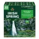 Irish Spring 清新體香皂 127公克 X 20入