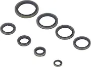 110 Pcs Metal Rubber Oil Seal Washer Kit High Temperature Resistant for High Temperature Industry
