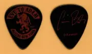 Eve To Adam Gaurav Vintage Guitar Pick - 2012 US Tour