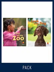 Flying Start Guided Reading Level 2, Pack 2