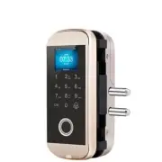 NSEE Fingerprint Electric Glass Door Gate Lock RFID Reader Touch Keypad Pincode