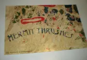 Poster - HERMIT THRUSHES slight fountain on joyful noise / the band j