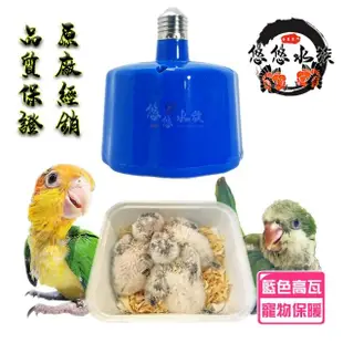 【YOYO 悠悠水族】暖呼呼寵物保暖扇_藍色高瓦(鳥飼料、鸚鵡保暖、鳥保溫、鳥玩具、鸚鵡用品、鸚鵡玩具)